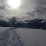 Winterbauer Chalet