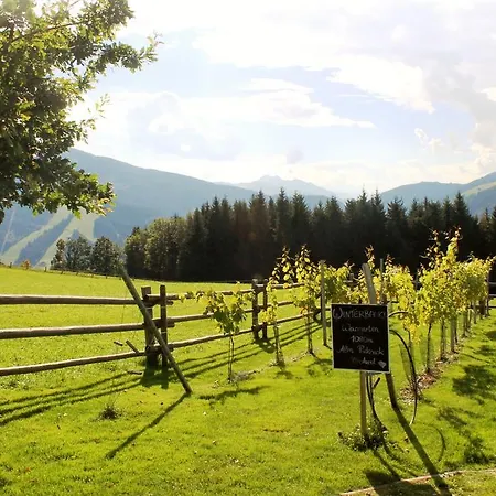 Chalet Winterbauer Flachau