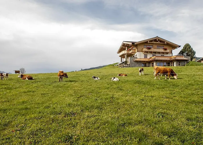 فينتيرباور * فلاخاو