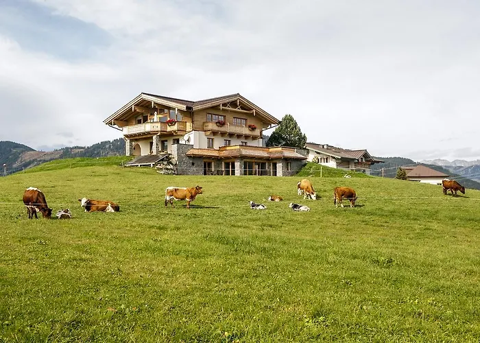 فينتيرباور *