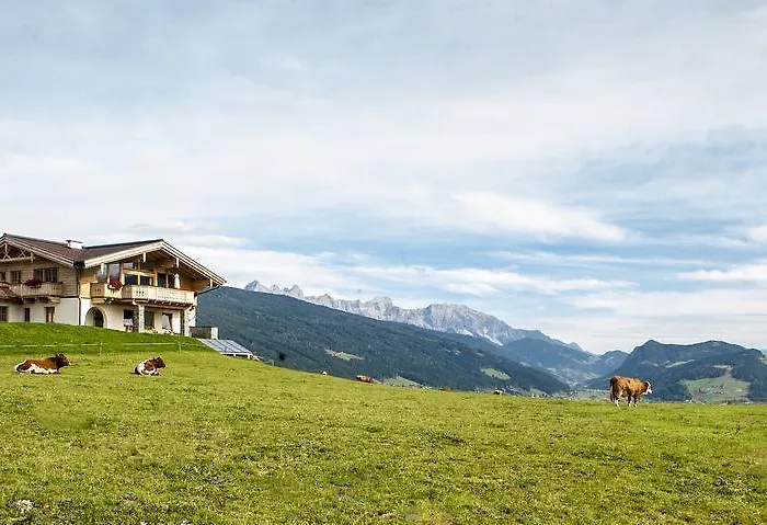 فينتيرباور * فلاخاو