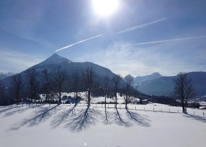 فينتيرباور *