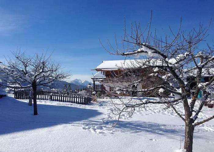 شاليه فينتيرباور