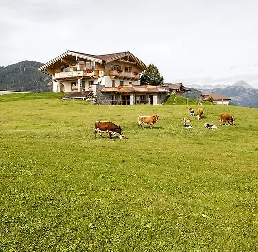 شاليه فينتيرباور *