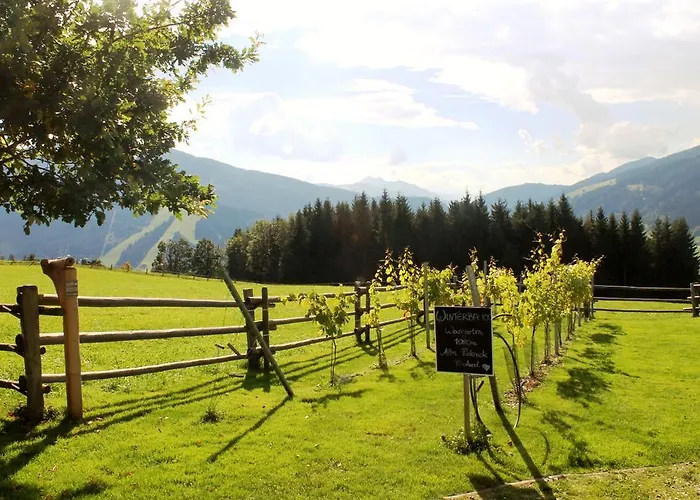 شاليه فينتيرباور فلاخاو