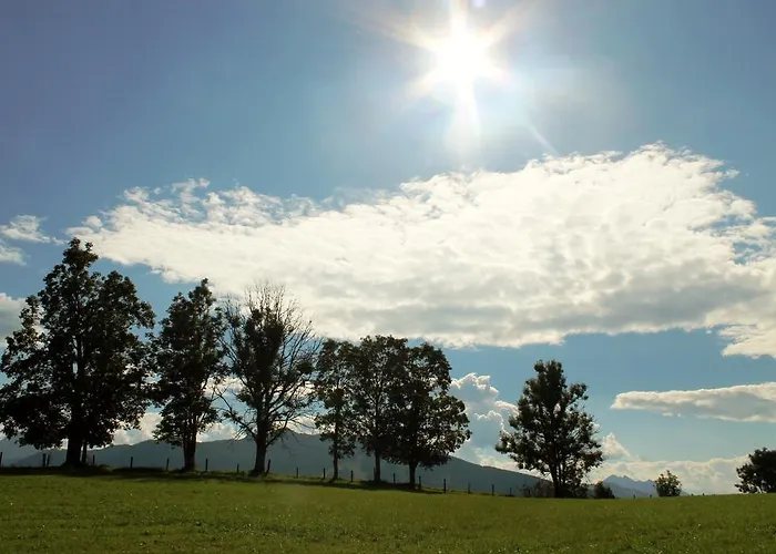 شاليه فينتيرباور فلاخاو